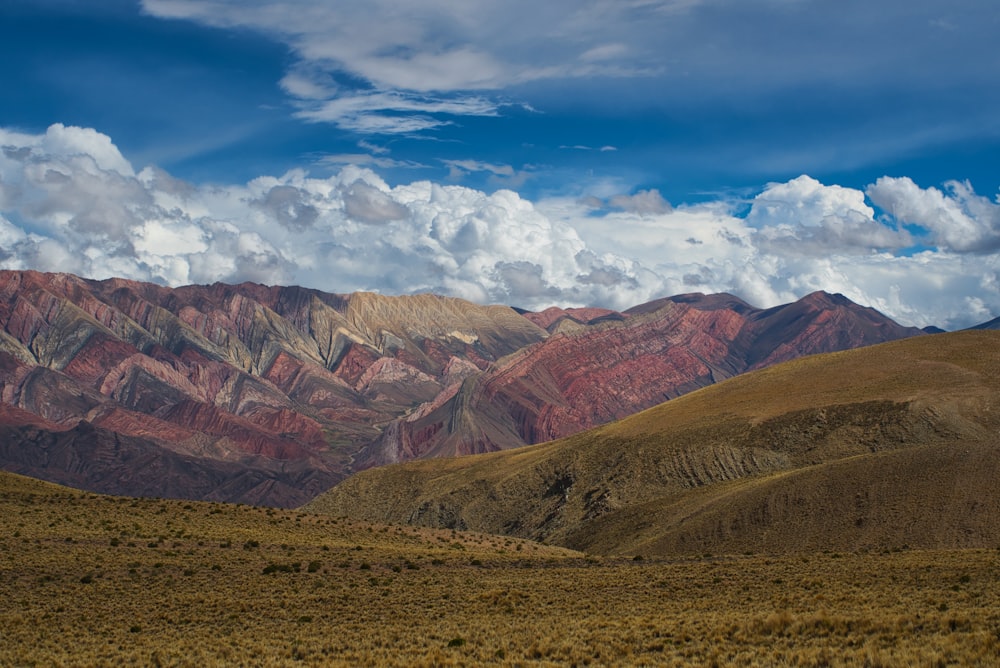 in distant brown mountain