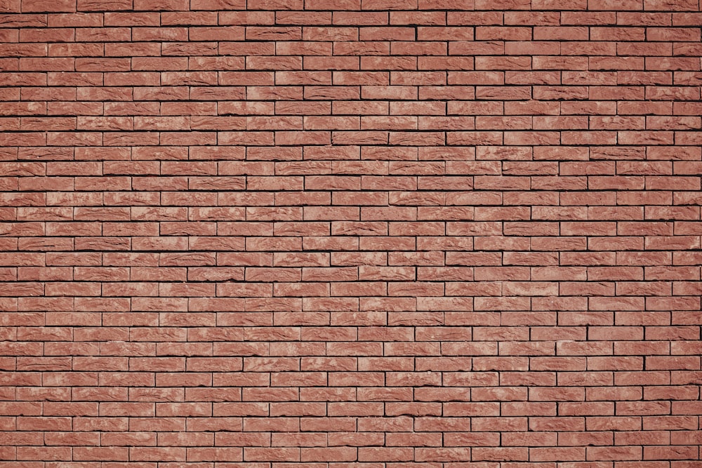 500+ Brick Wall Pictures & Images [HD] | Download Free Photos on Unsplash