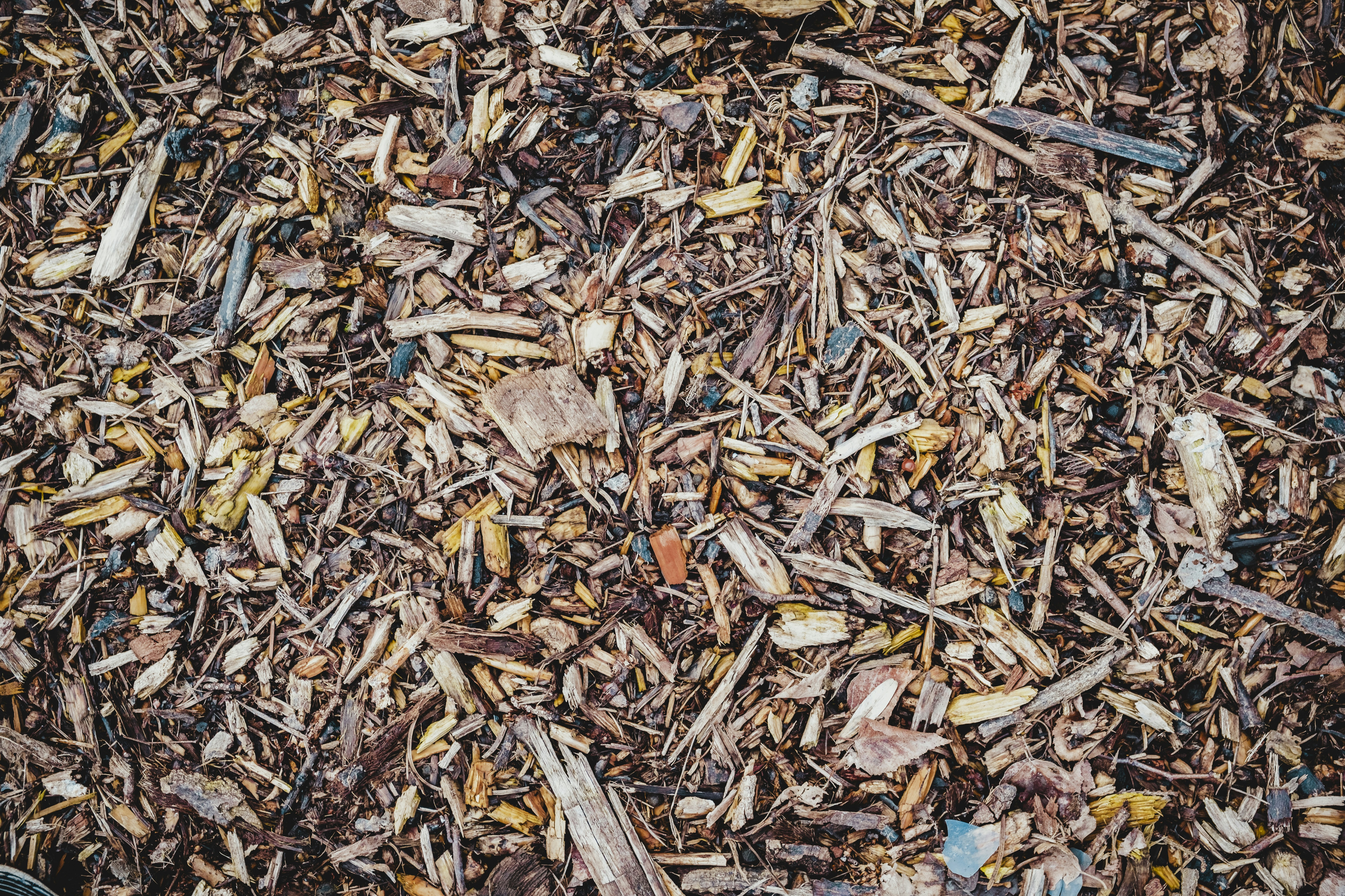 Can Hormonal Changes Cause Smelly Urine?