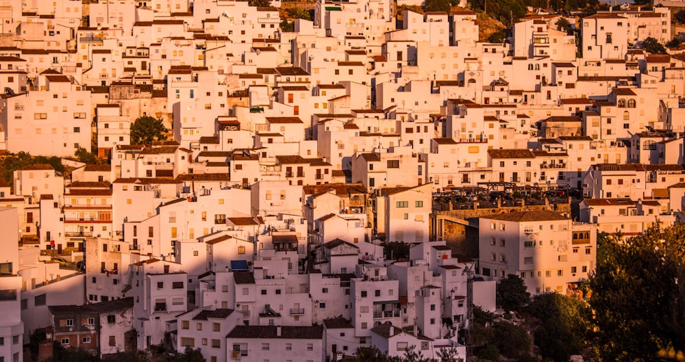 white buildings on hill