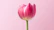 pink flower