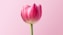 pink flower