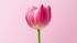 pink flower