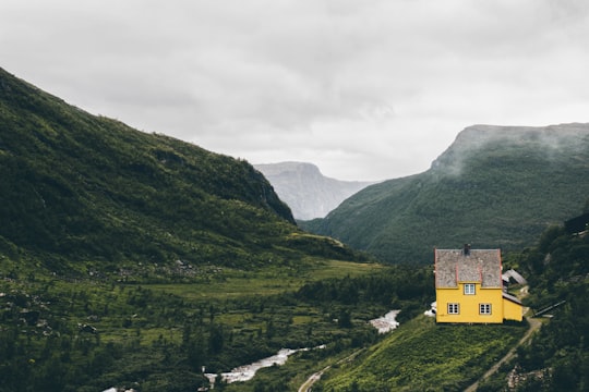 landscape photography of green leaf tree covered valley with body of water and yellow house sticker edited photo in Flam Norway