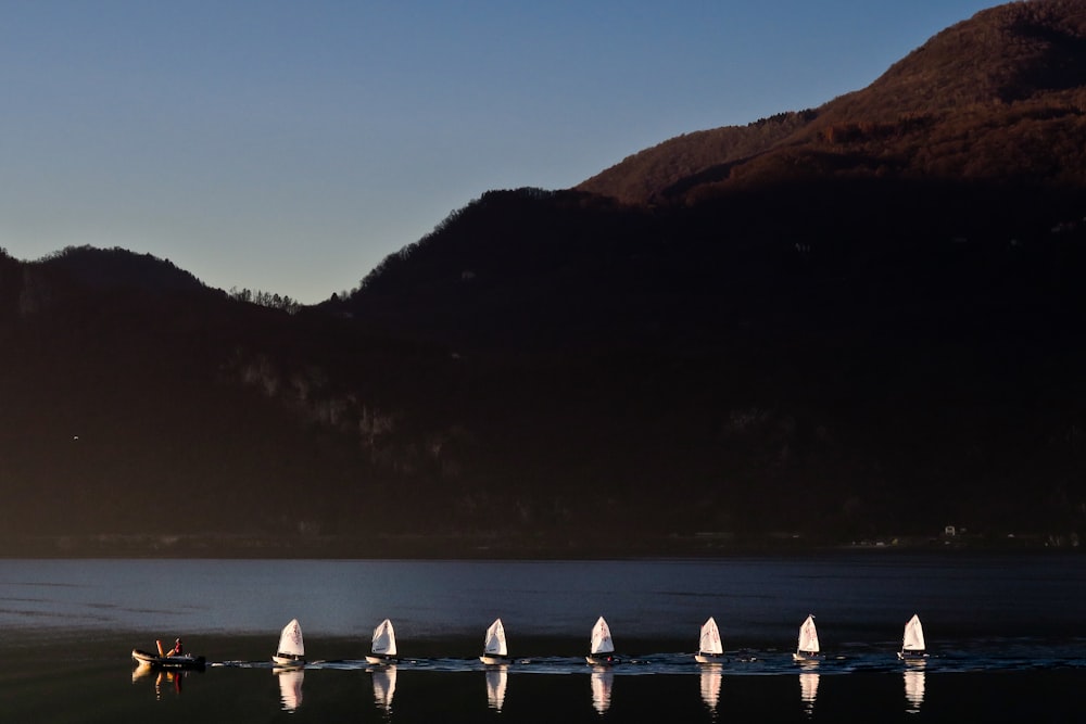 sailboats on body of water