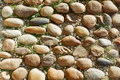 Natural stones arranged beautifully in a landscaped garden setting.