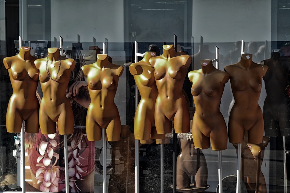 torso mannequin lot