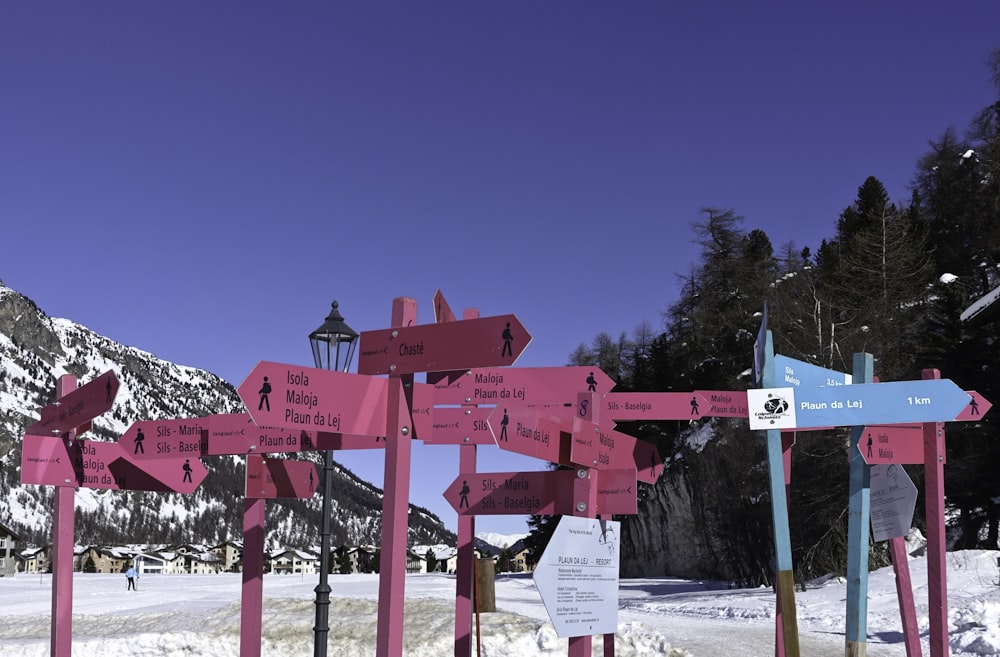 pink and blue road signs near trees