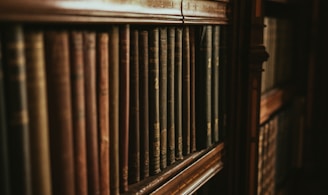 close-up photography of bookcase
