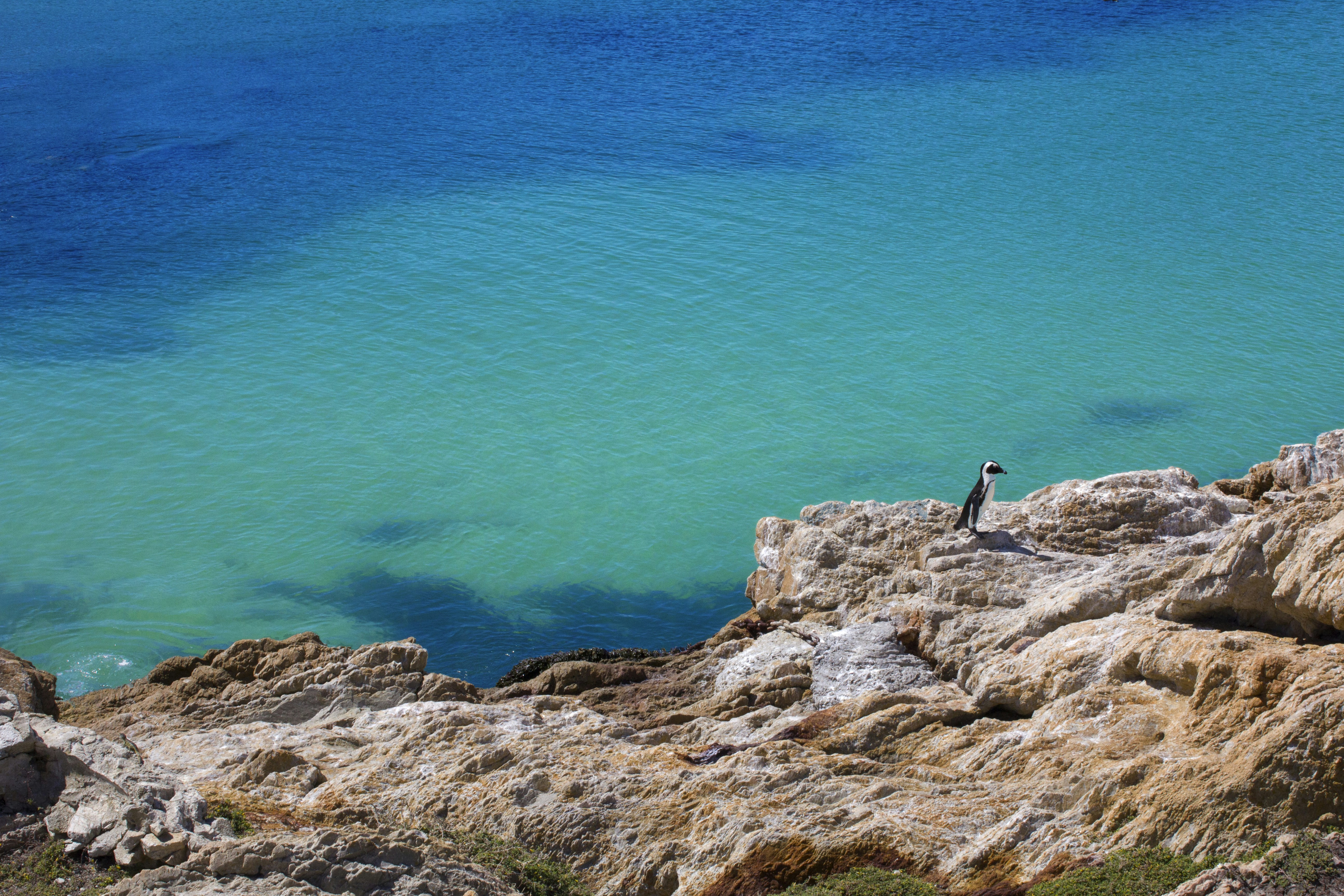 Storms River Mouth, Garden Route