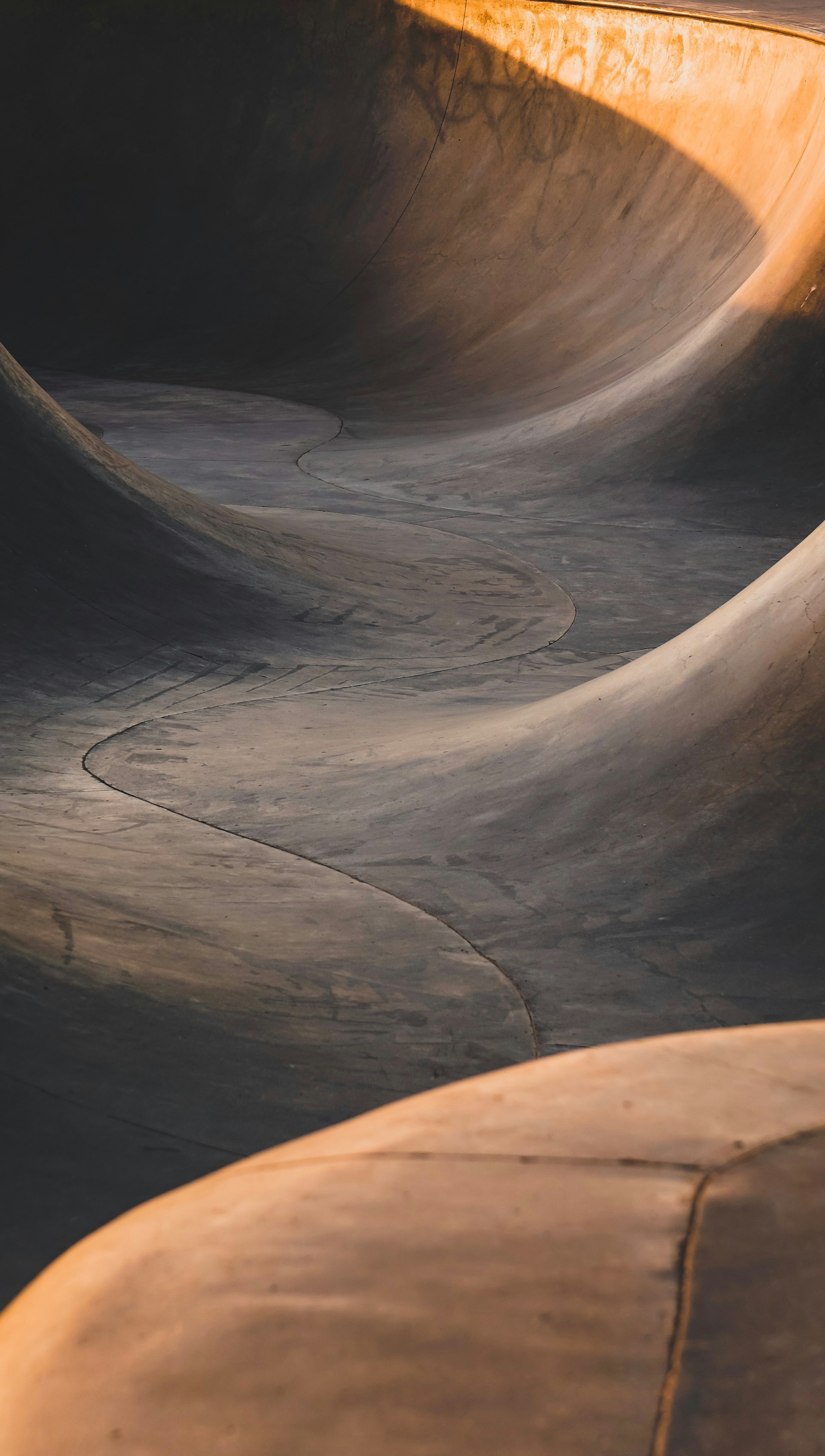 silhouette photography of skateboard ramps