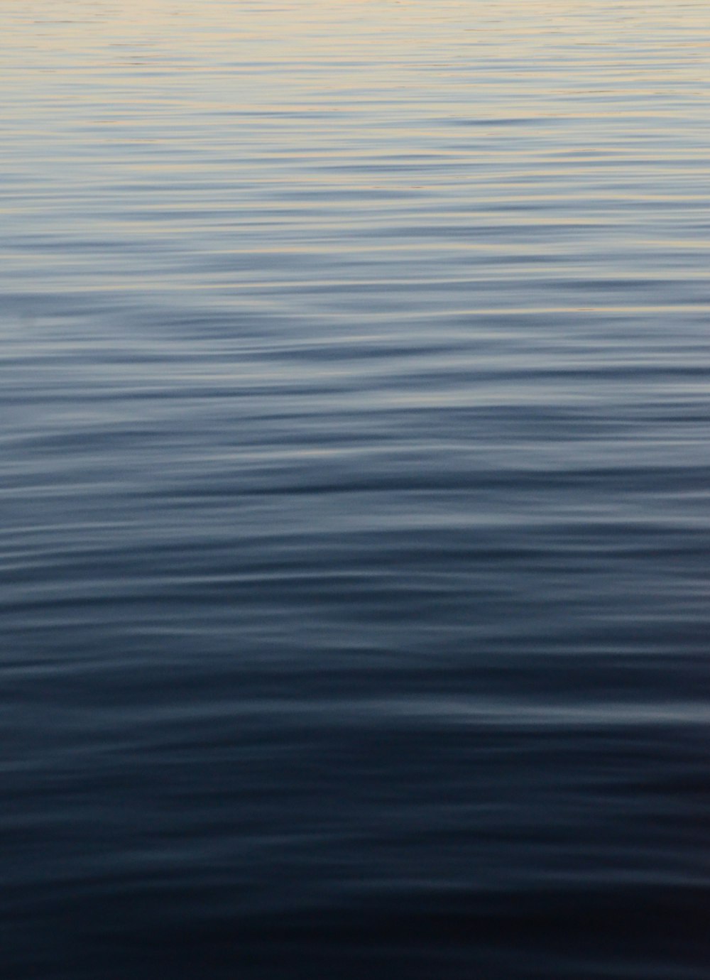 close up photography of body of water