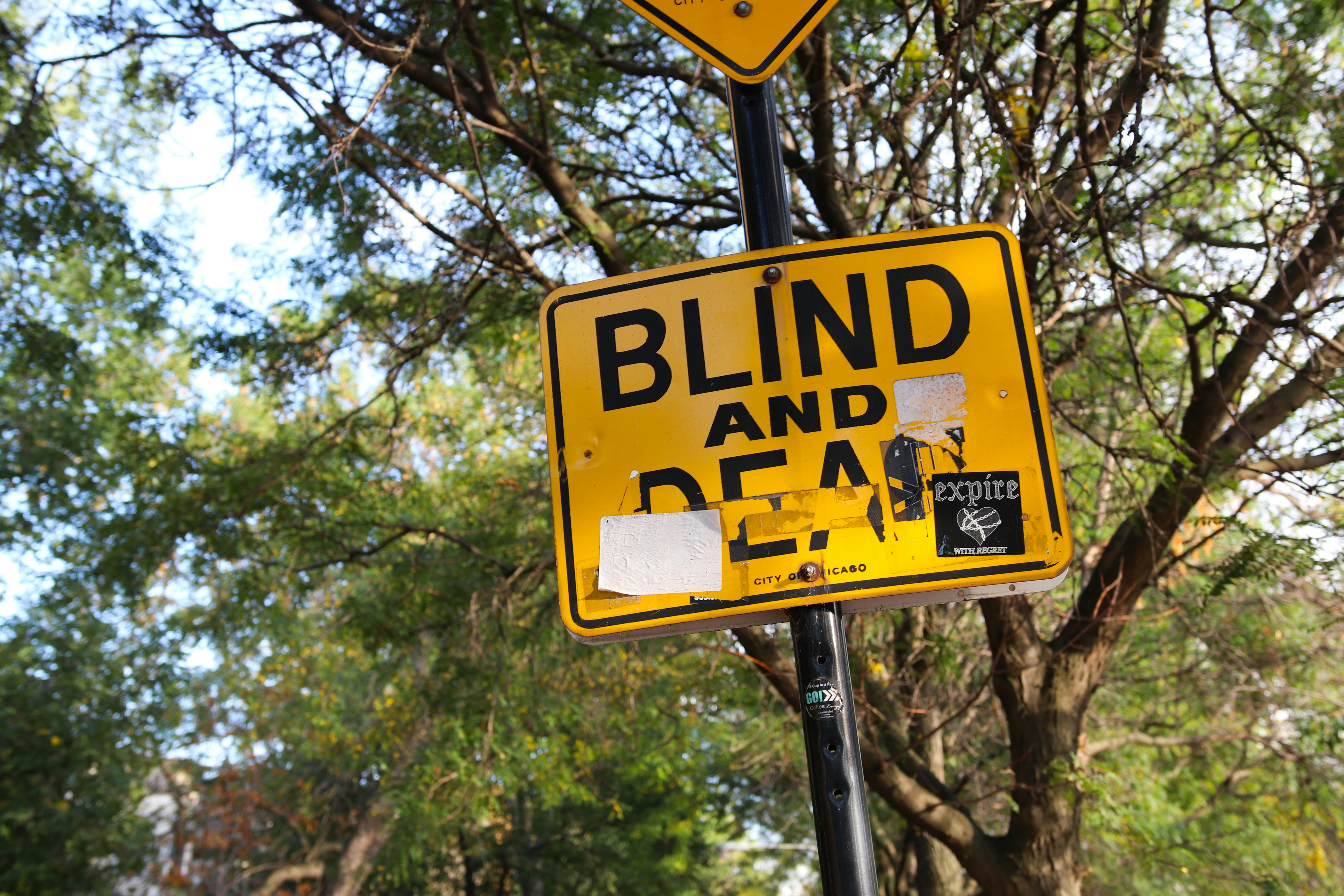 photo 1520806665774 5b525a78017a?ixlib=rb 4.0