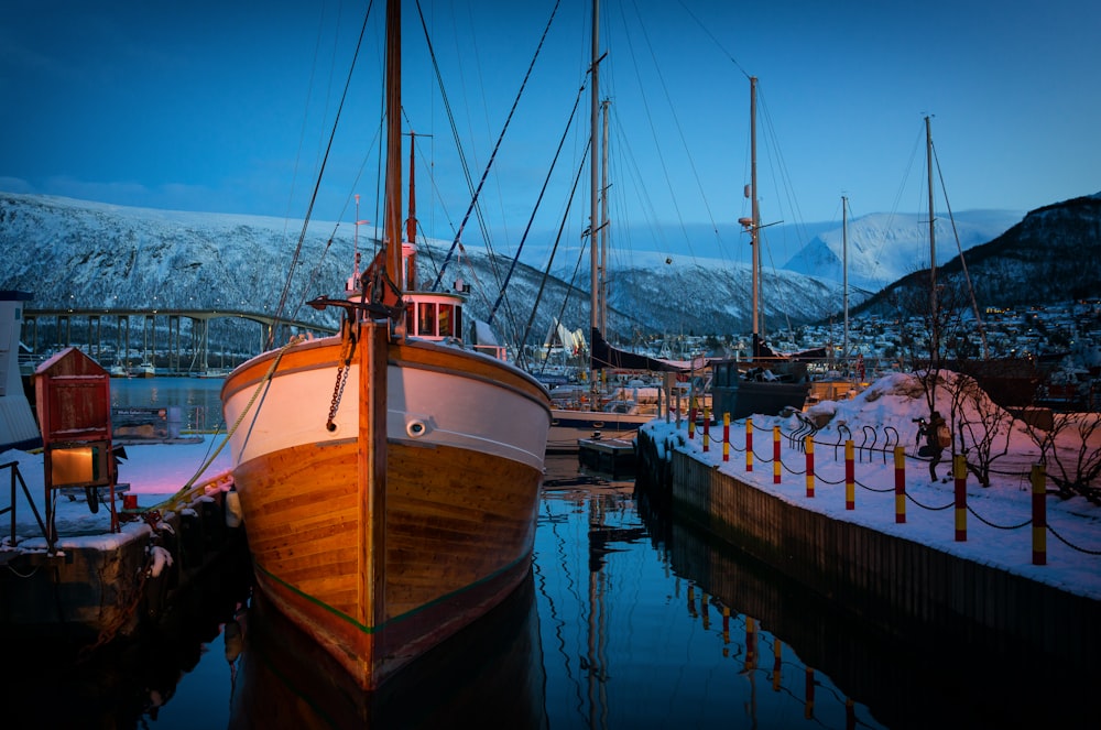 brown and white docked boat on body of water