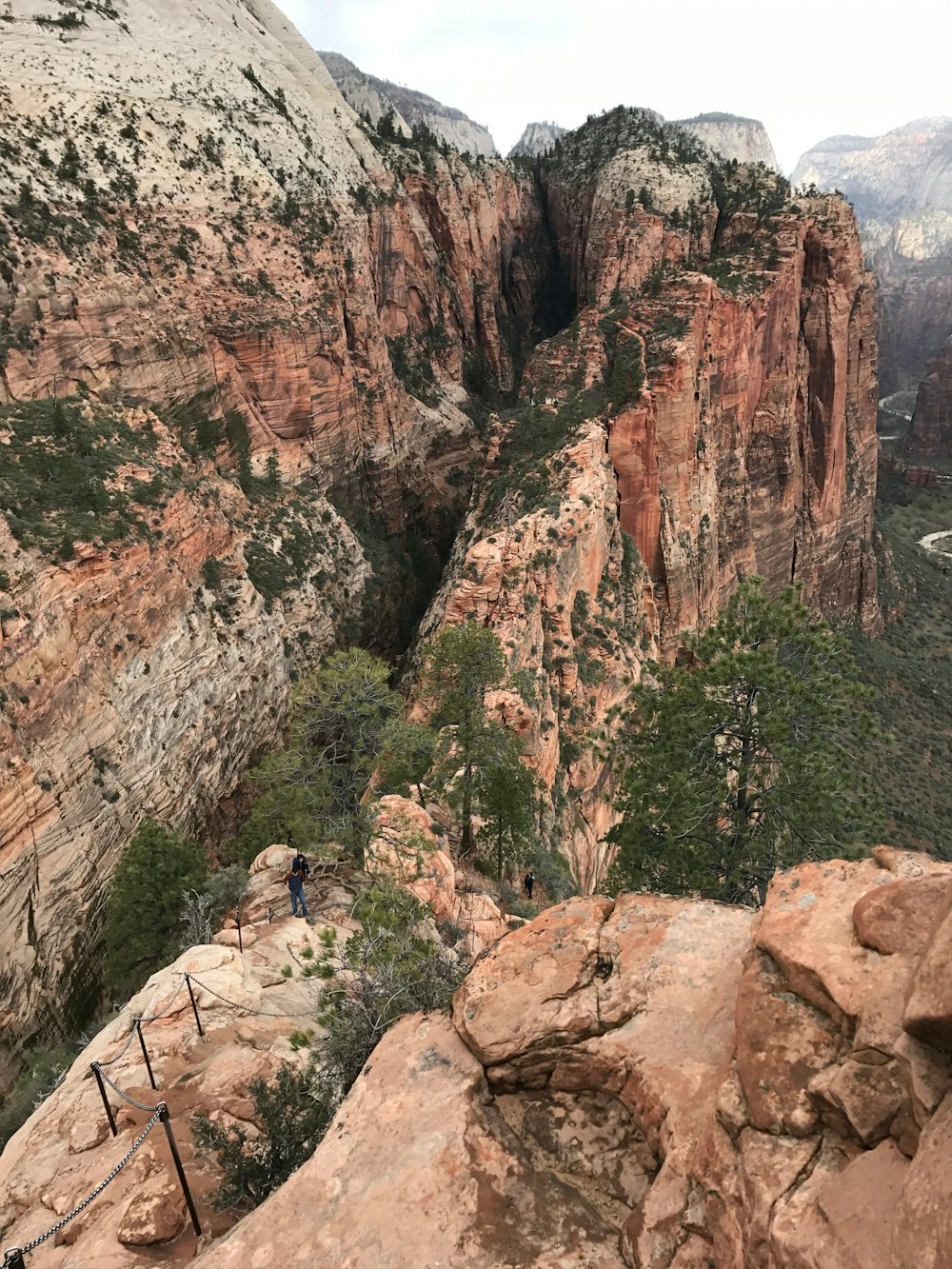 aerial photo of cliff with trees during daytime