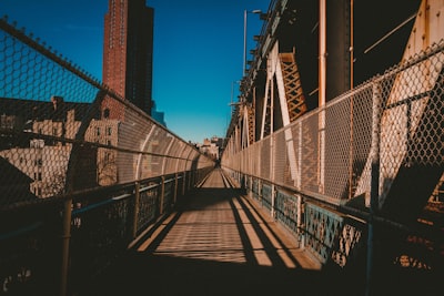 brown and white hanging bridge