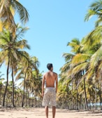 Consórcio Viagens e Passeios.