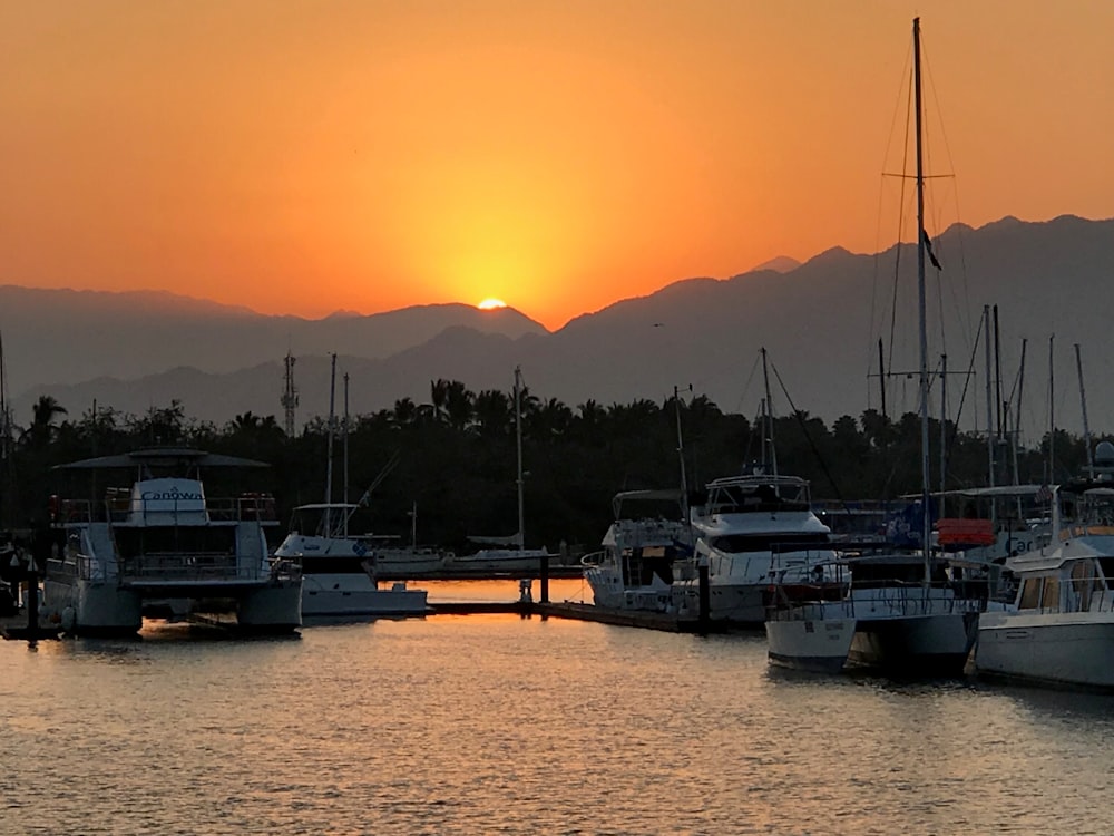 white yachts during sunset