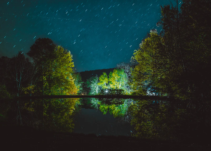 Illustrative: tents glowing warmly under a starry night sky