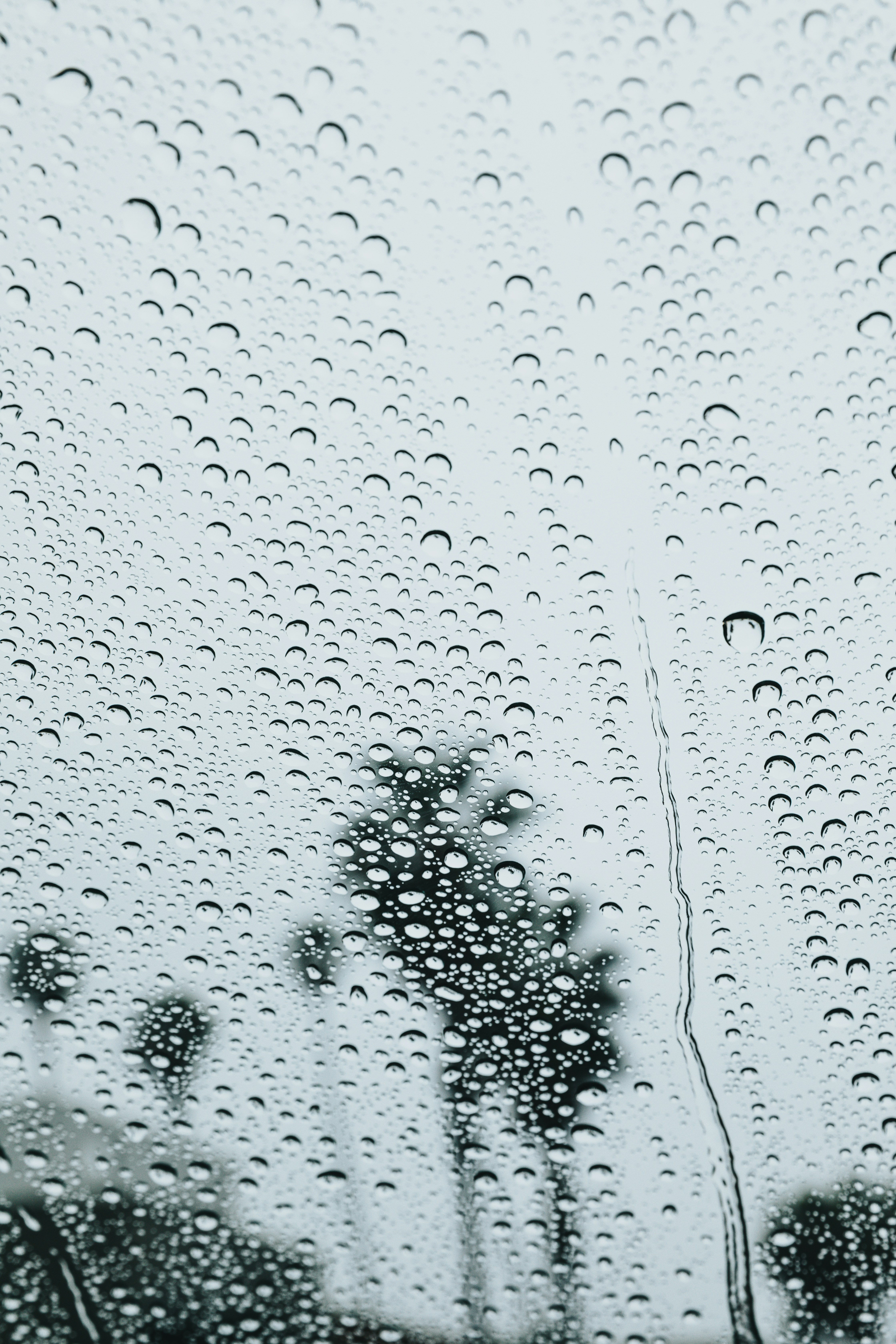 Choose from a curated selection of grey wallpapers for your mobile and desktop screens. Always free on Unsplash.