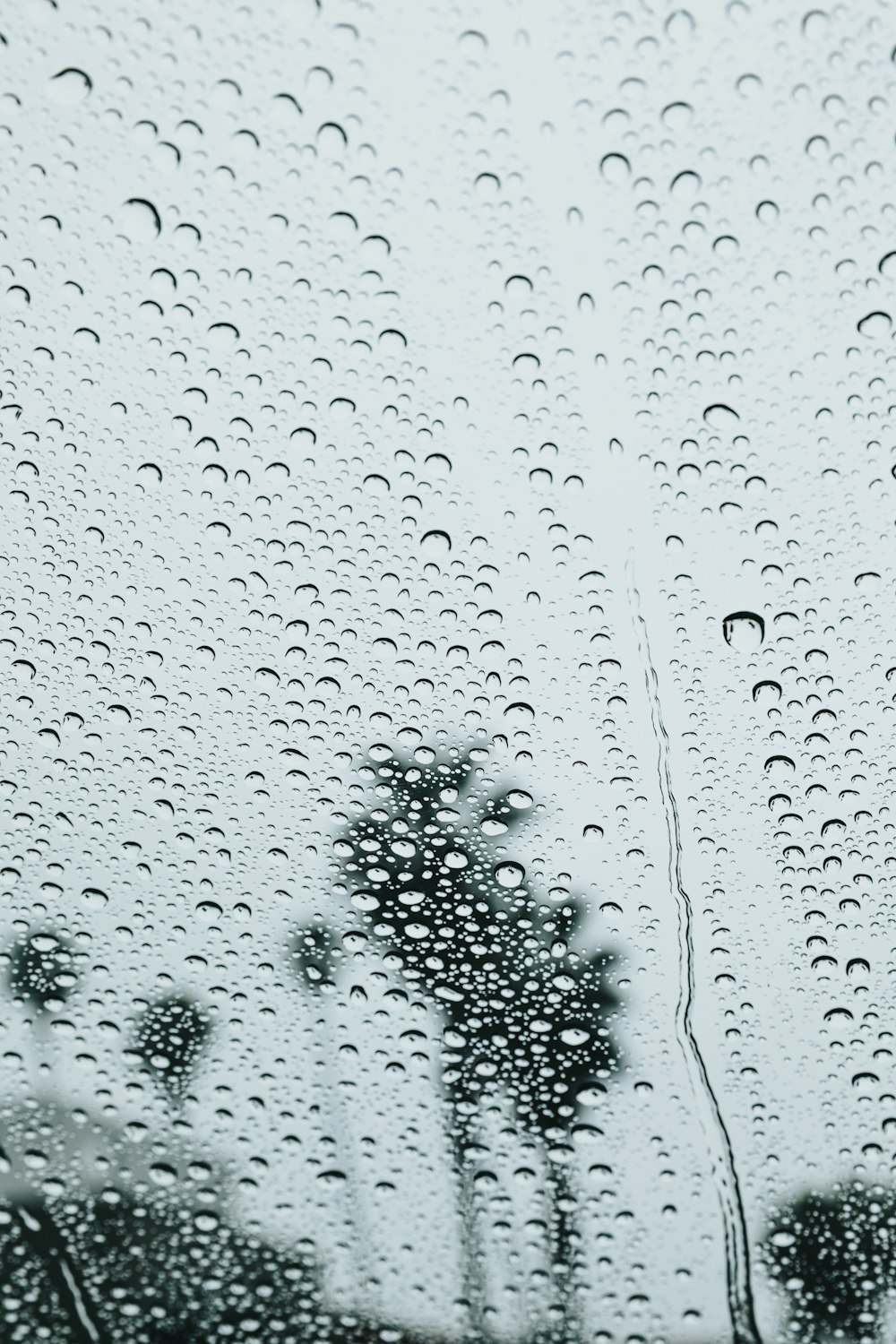 rosée d’eau sur le verre