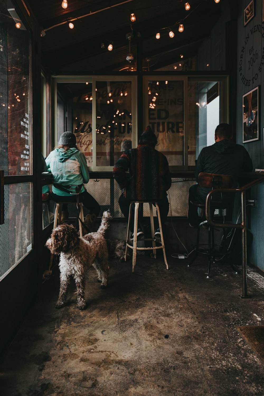 three person sitting on brown wooden bar stools near table