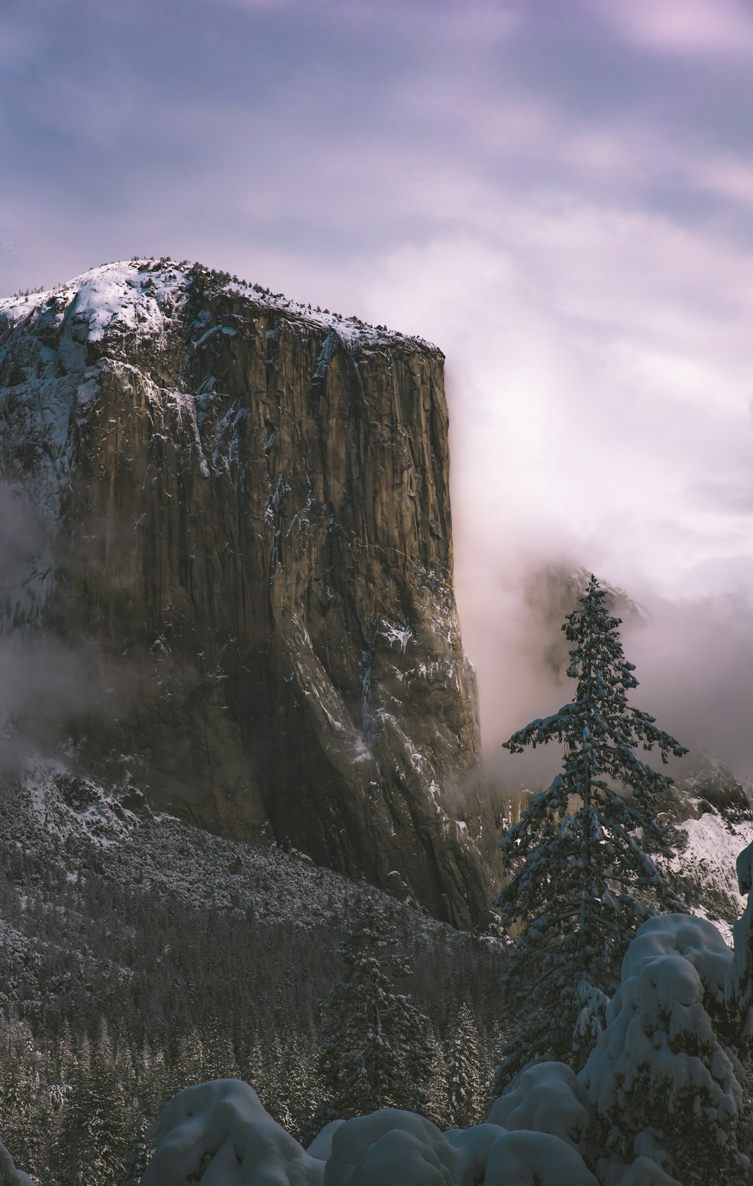 Mountain range photo spot Yosemite Valley Yosemite Valley