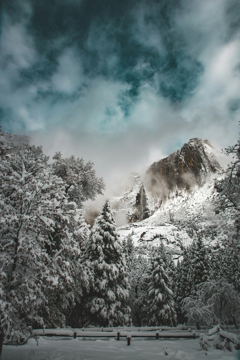 Montaña y bosque cubierto de nieves