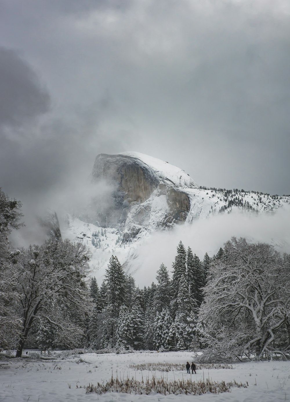 two persons walking on snow near trees and mountain range