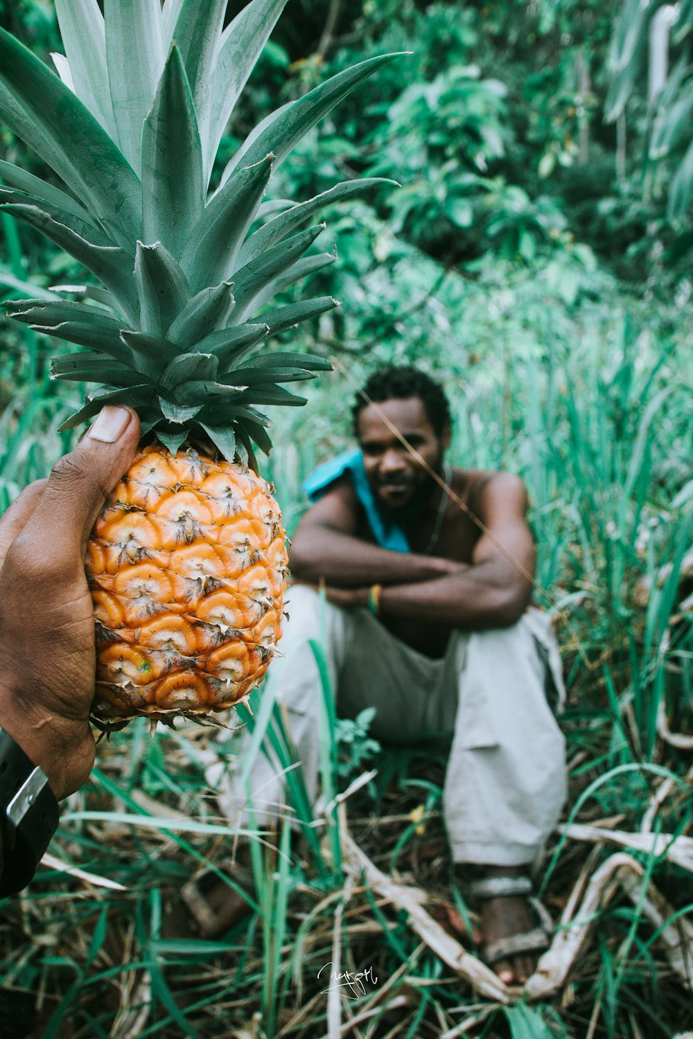 person holding pineapple