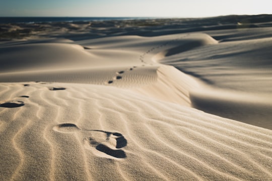 photo of Anna Bay Desert near Myall Lakes National Park