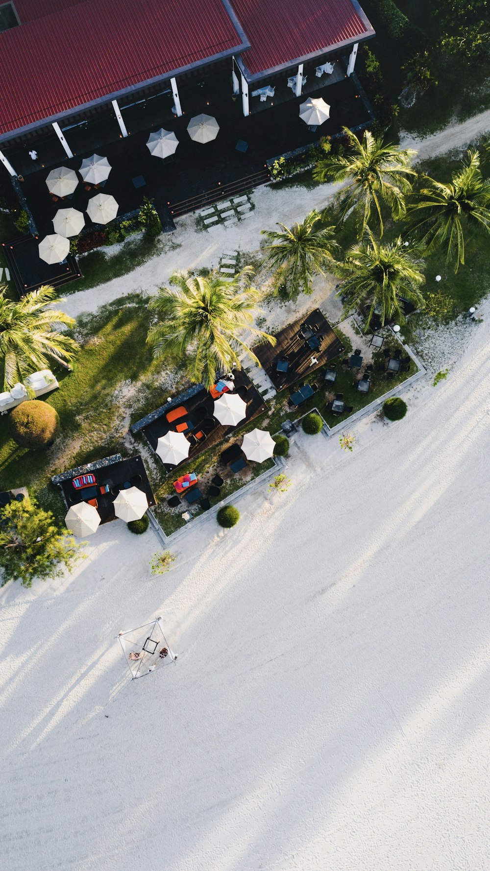 bird's eye photography of patio umbrellas and palm trees