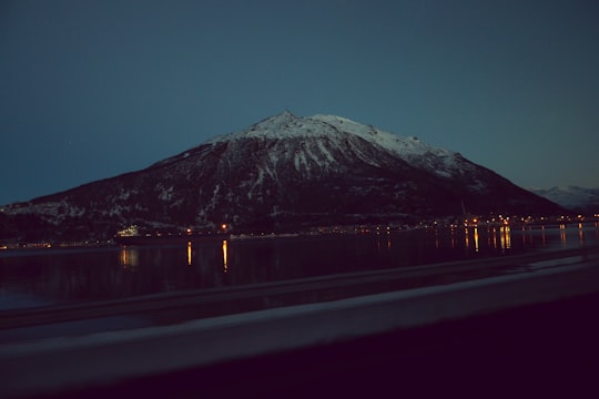 landscape photo of mountain in Narvik Norway