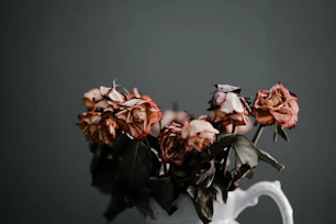 orange petaled flower