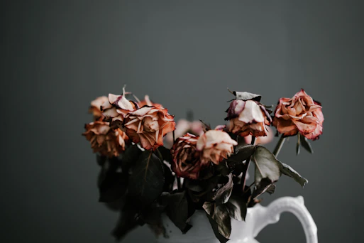 orange petaled flower