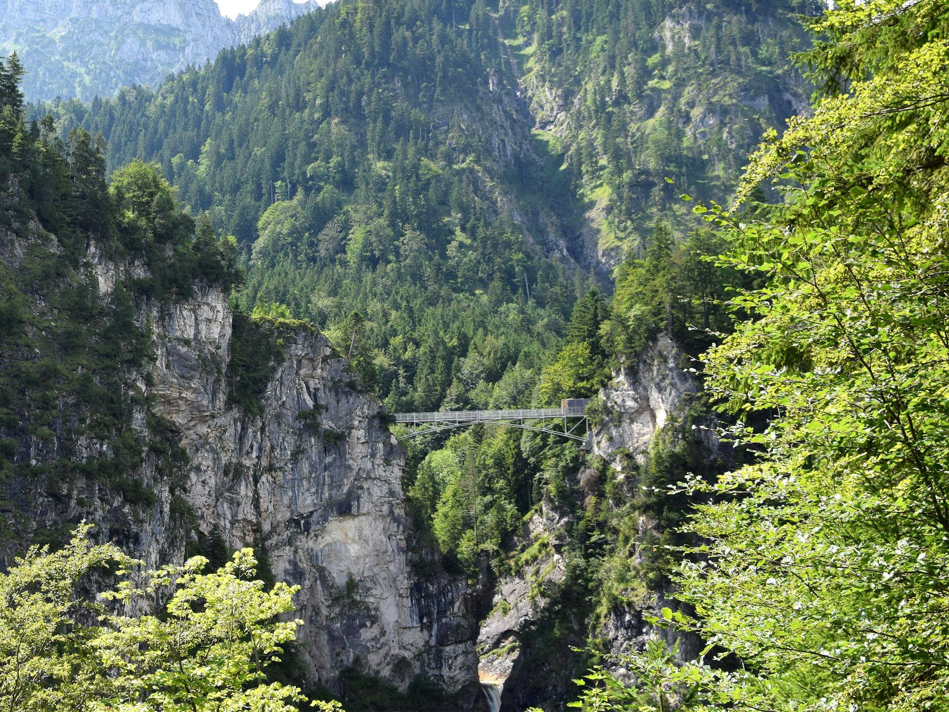 Via ferrata spectaculaire avec pont suspendu et vallée verdoyante du Caroux