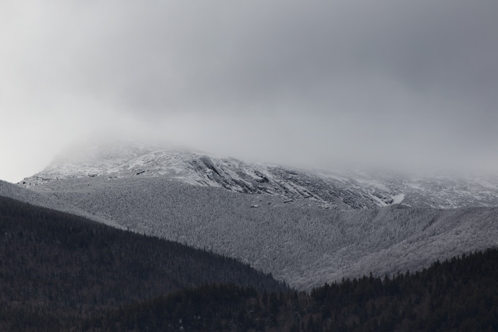 회색 산의 풍경 사진
