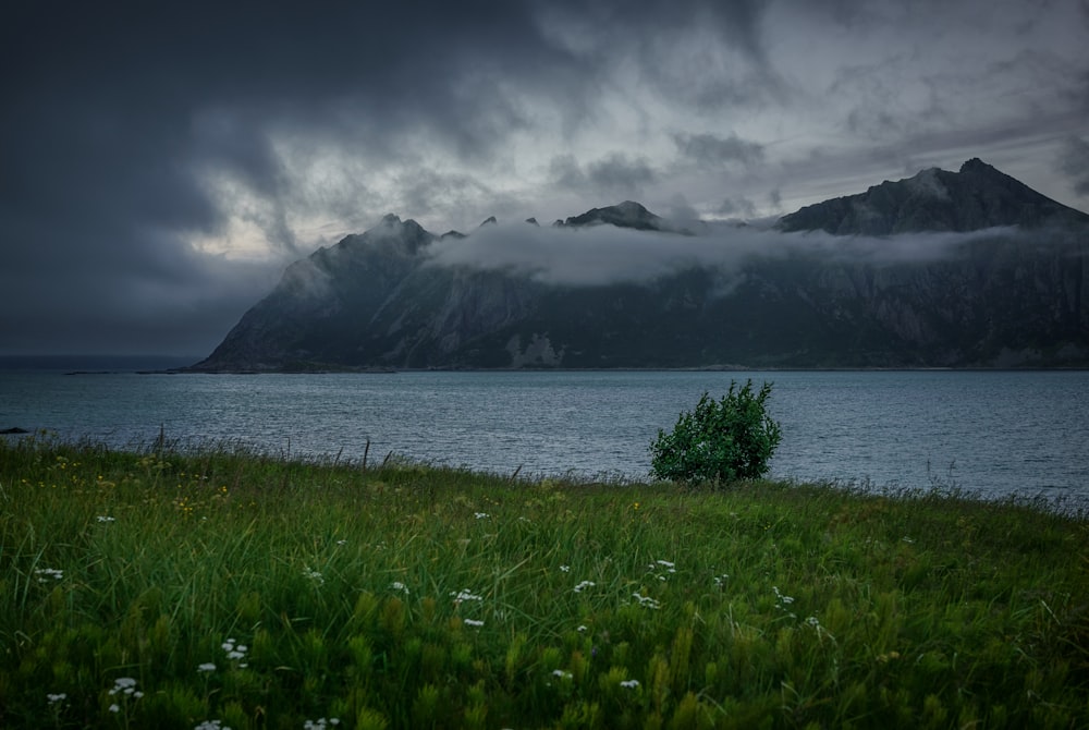 green grass field near body of water with mountain backgrounds