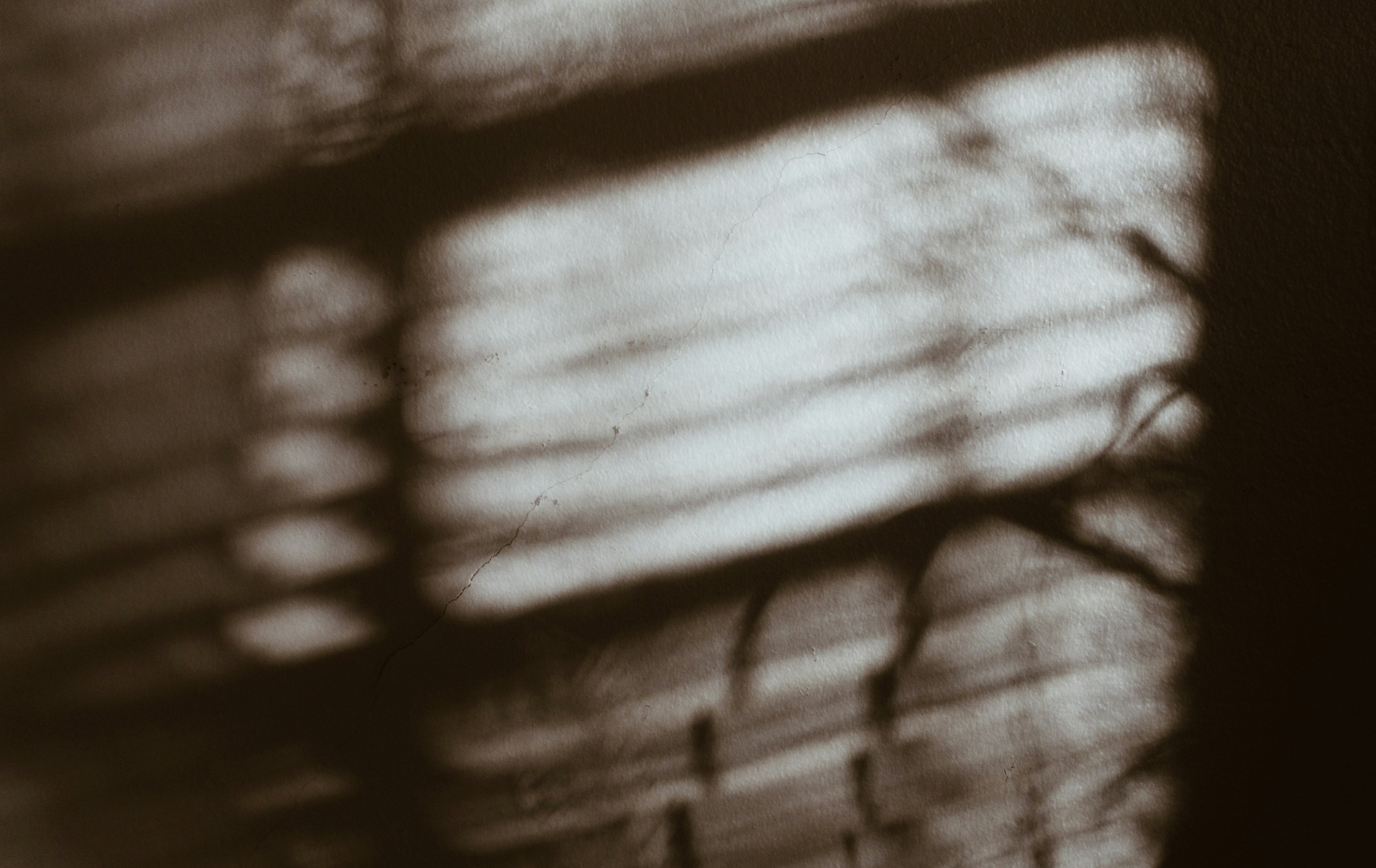 Photo by kellysikkema