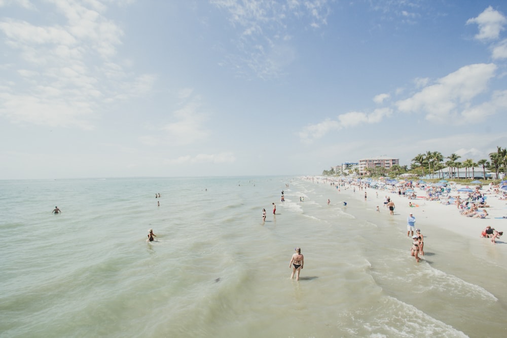 people on seashore during daytime