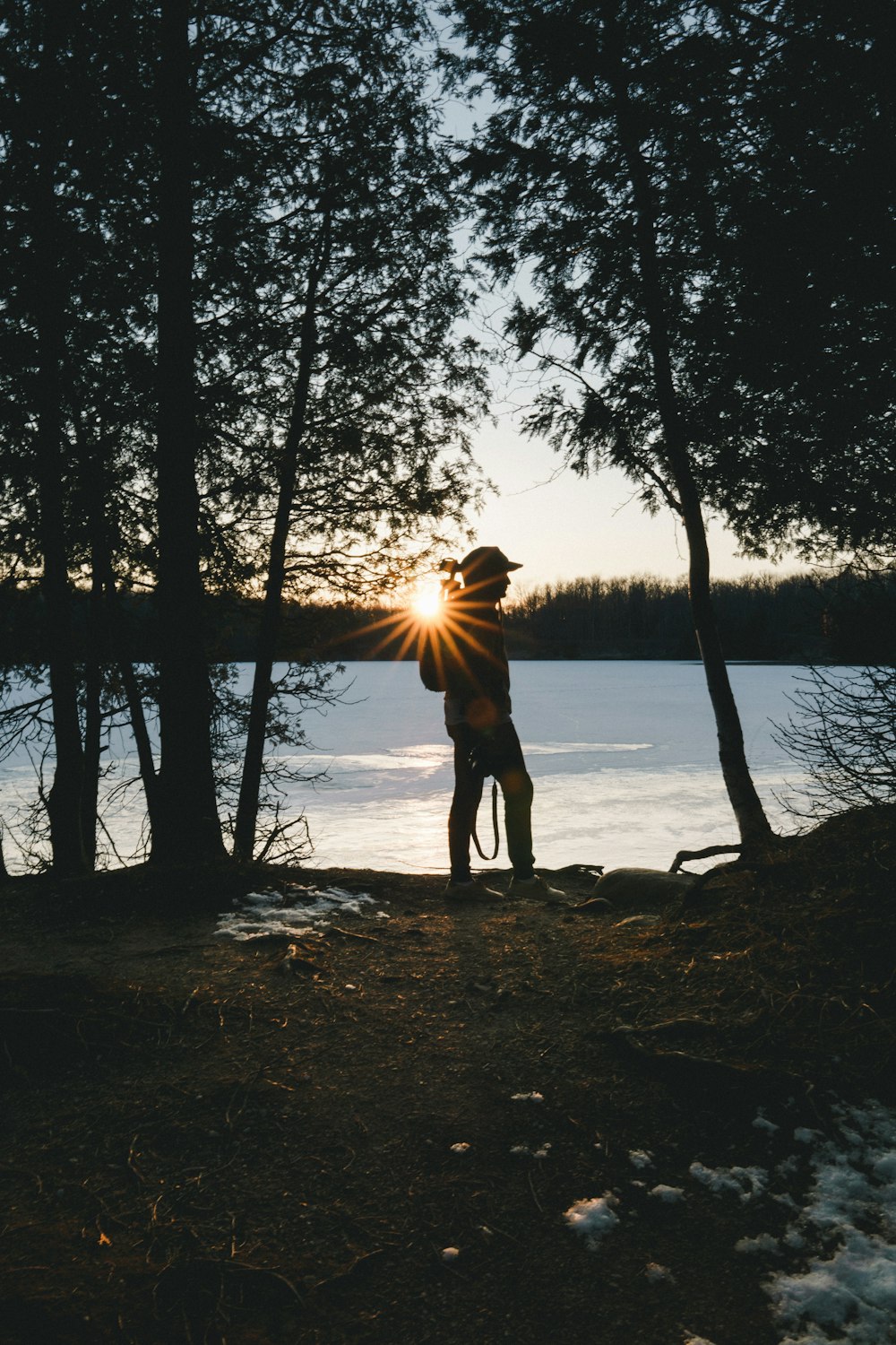 silhouette of person standing near trees during golden hour