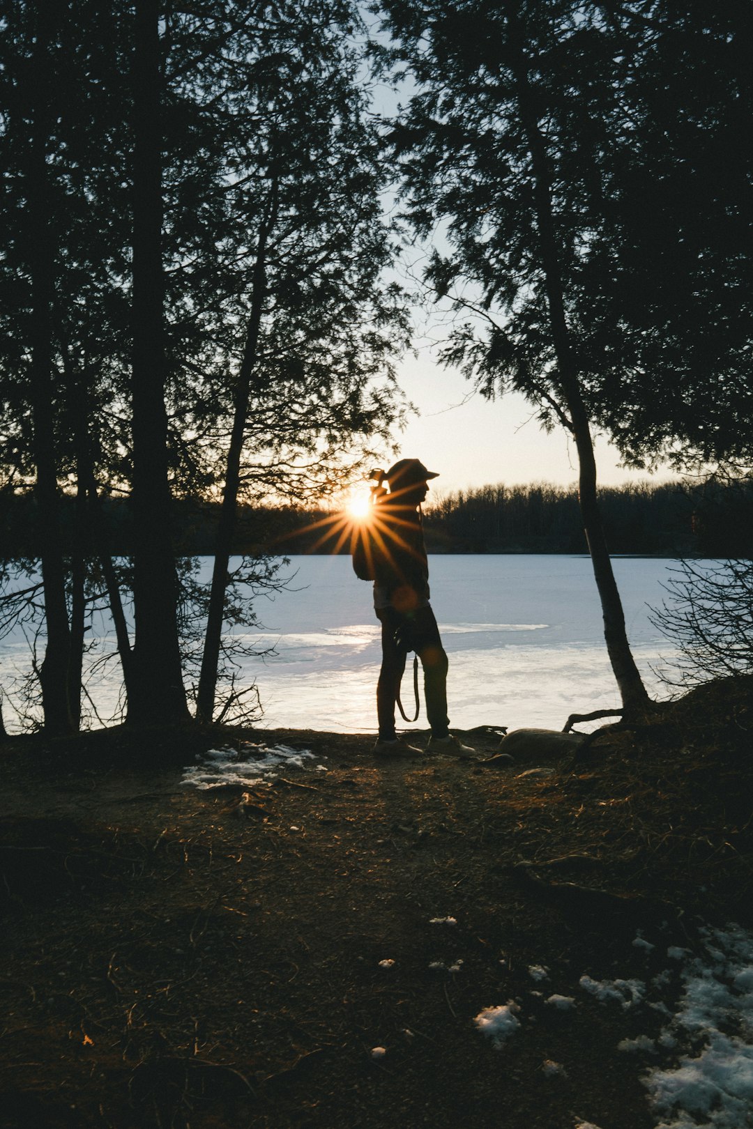 silhouette of person standing near trees during golden hour