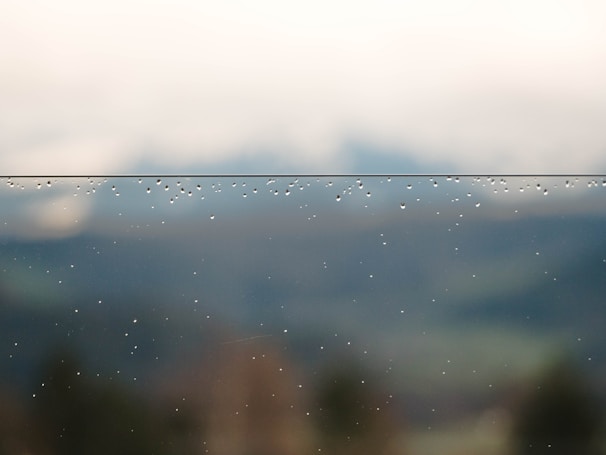 A close-up of raindrops on a windowpane with blurred trees in the background.