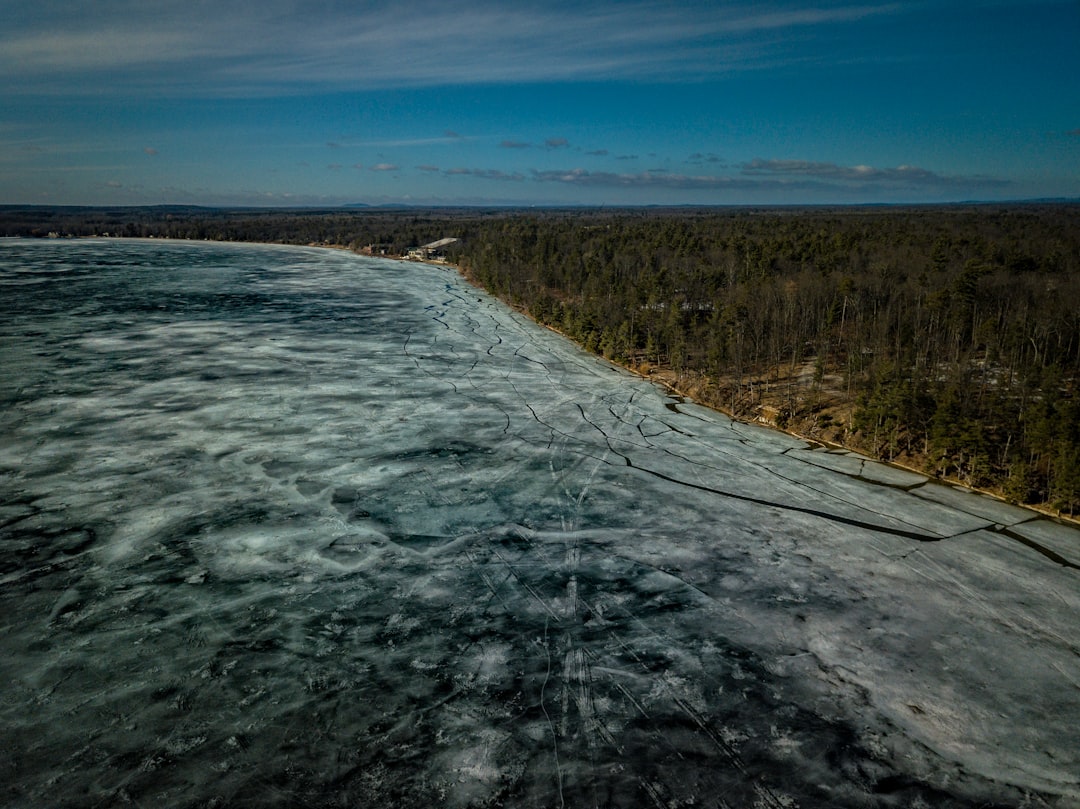 aerial photography of forest