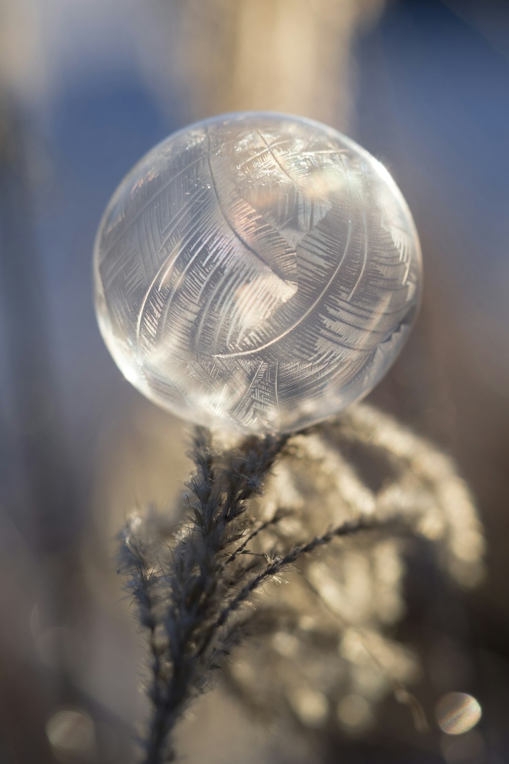 透明な水晶玉