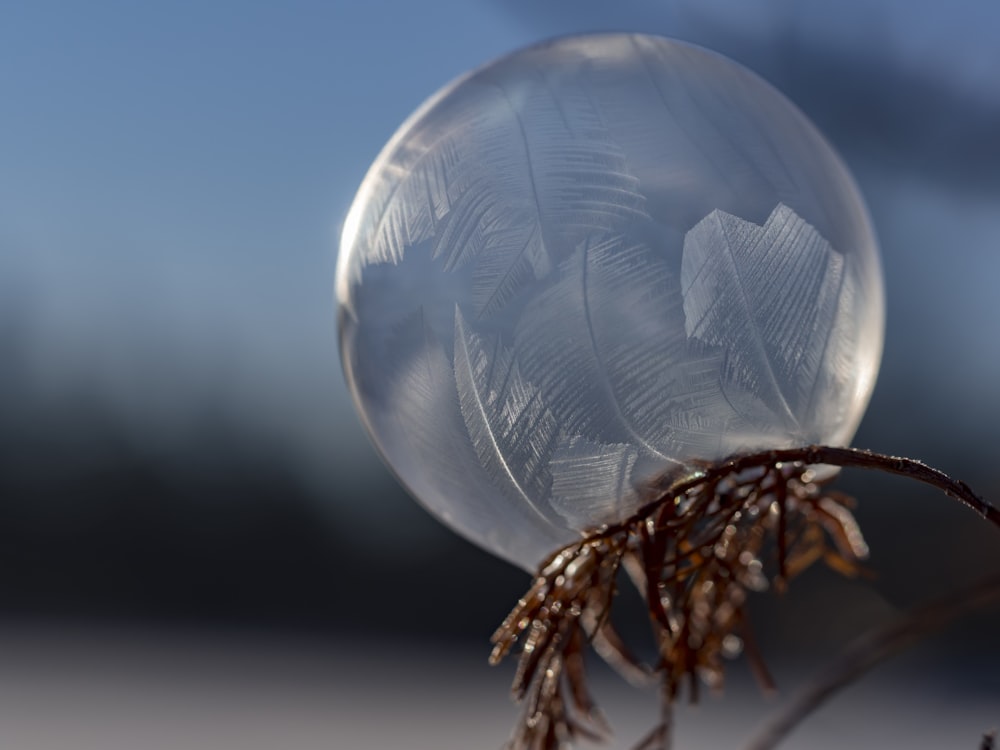 selective focus photography of glass ball