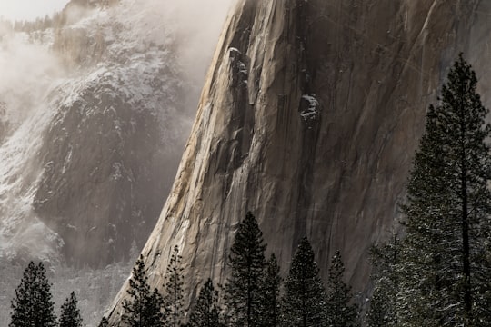 photo of pine trees beside a mountain in Yosemite Valley United States