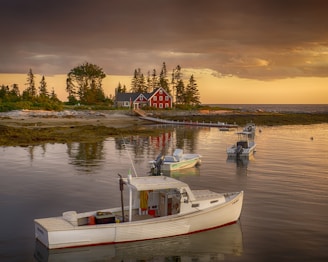 red house beside body of water with white motor boats during daytime