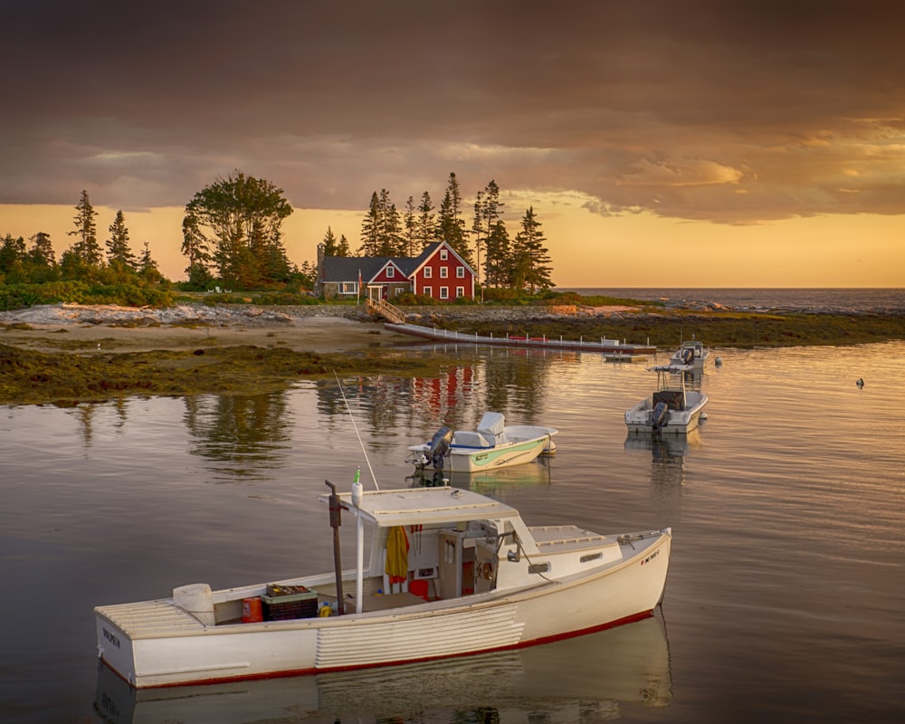 Maison rouge au bord d’un plan d’eau avec des bateaux à moteur blancs pendant la journée