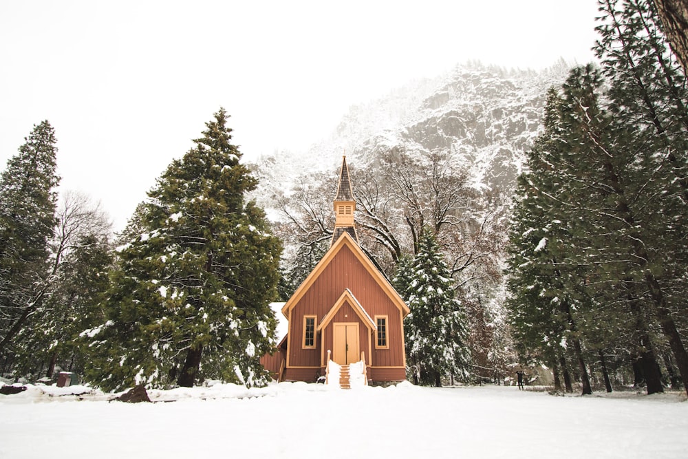 brown cathedral on snowy day